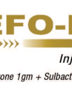 Cefo-LA 1.5 gm injection